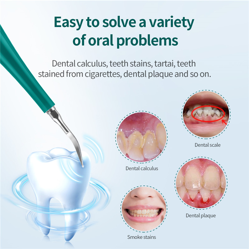 Sonic Electric Toothbrush Ultrasonic Smart Tooth Brush Calculus Remover Whitening Teeth Rechargeable Automatic Tooth Brush Set