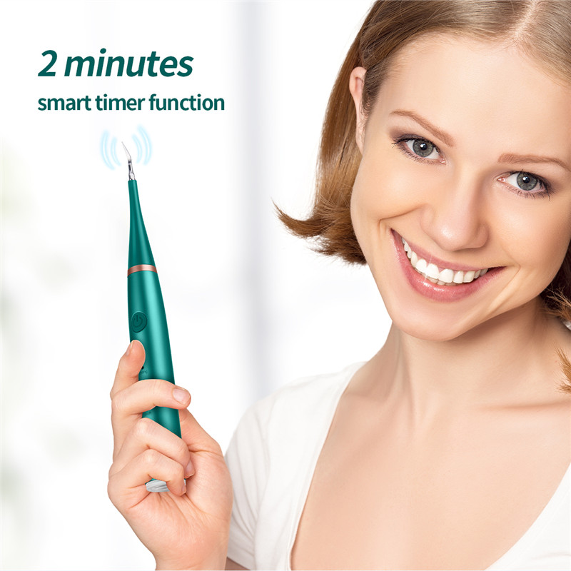 Sonic Electric Toothbrush Ultrasonic Smart Tooth Brush Calculus Remover Whitening Teeth Rechargeable Automatic Tooth Brush Set