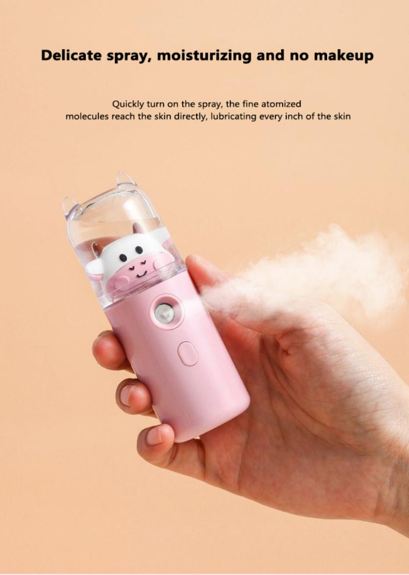Nano Mist Facial Sprayer Mini USB Charging Summer Cool Beauty Tools Humidifier Nebulizer Summer Face Steamer Skin Care