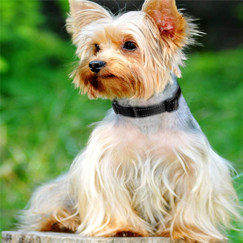 Reflective Dog Collar Soft Padded Breathable Pet Collar Adjustable for Small Medium Large Dog Polyester Pet Rope