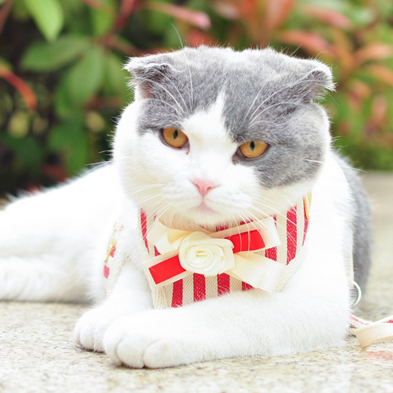 Pet Harness Tuxedo Style with Leash Adjustable Dog Harness Leash Stripe Design Breathable Material
