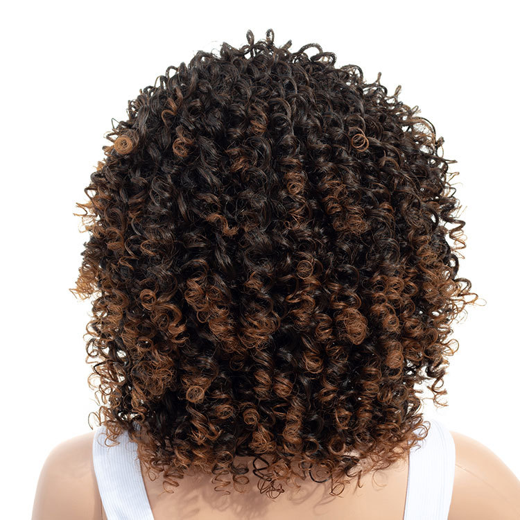 Women&apos;s wigs European and American short African small roll chemical fiber wigs women wigs