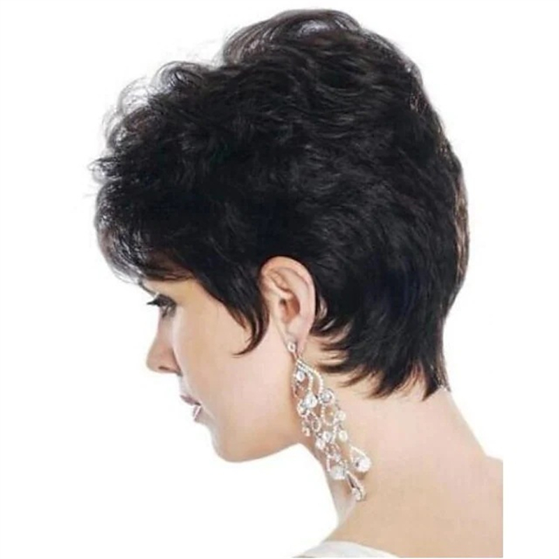 Fashion women's short curly wigs Brown fluffy short curly hair High temperature silk full head cover