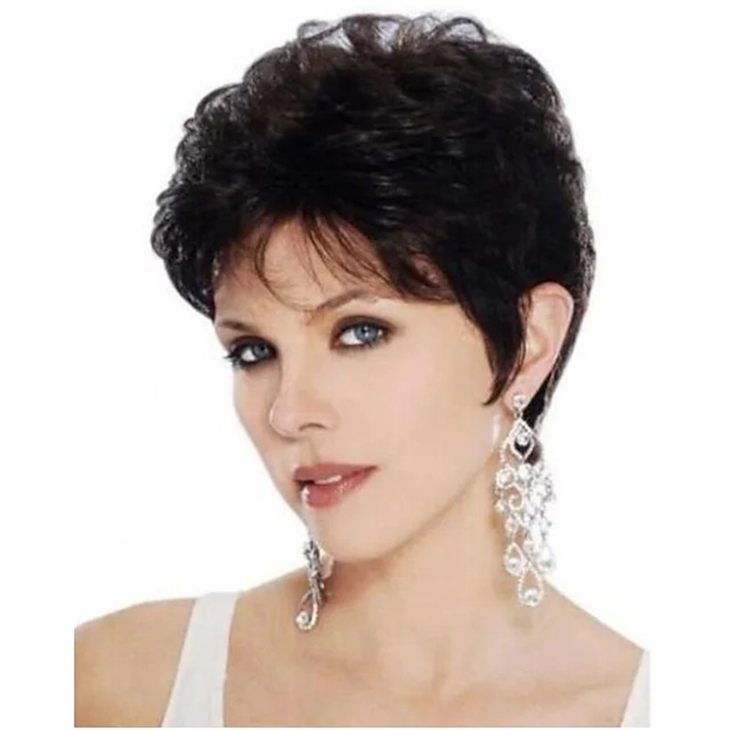 Fashion women's short curly wigs Brown fluffy short curly hair High temperature silk full head cover