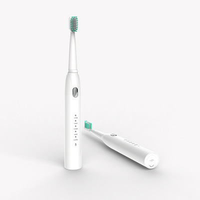 Sonic Electric Toothbrush Adult Timer Brush 4 Mode USB Charger Rechargeable IPX7 Tooth Brushes Replacement Heads Set