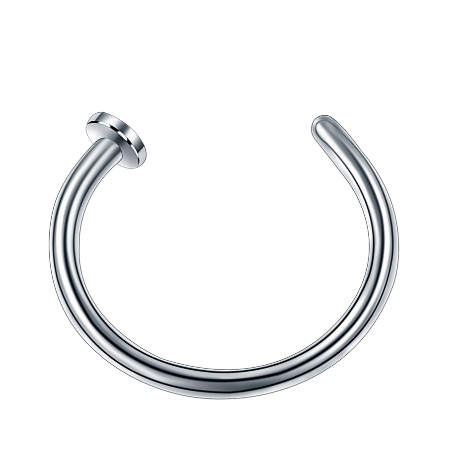 4Pcs Stainless Steel Fake Nose Ring Hoop Septum Rings for Women Fake Piercing Jewelry Non-Pierced