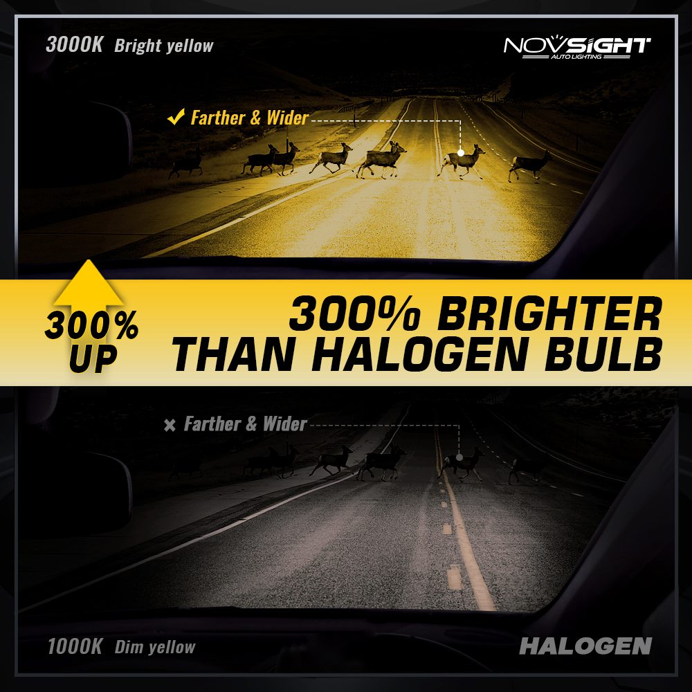 NOVSIGHT H8 LED H11 H9 Car Headlight Bulb 70W 15000LM 3000K LED Lamp 12V with Fan Design Plug and Play Headlamp Auto Accessories