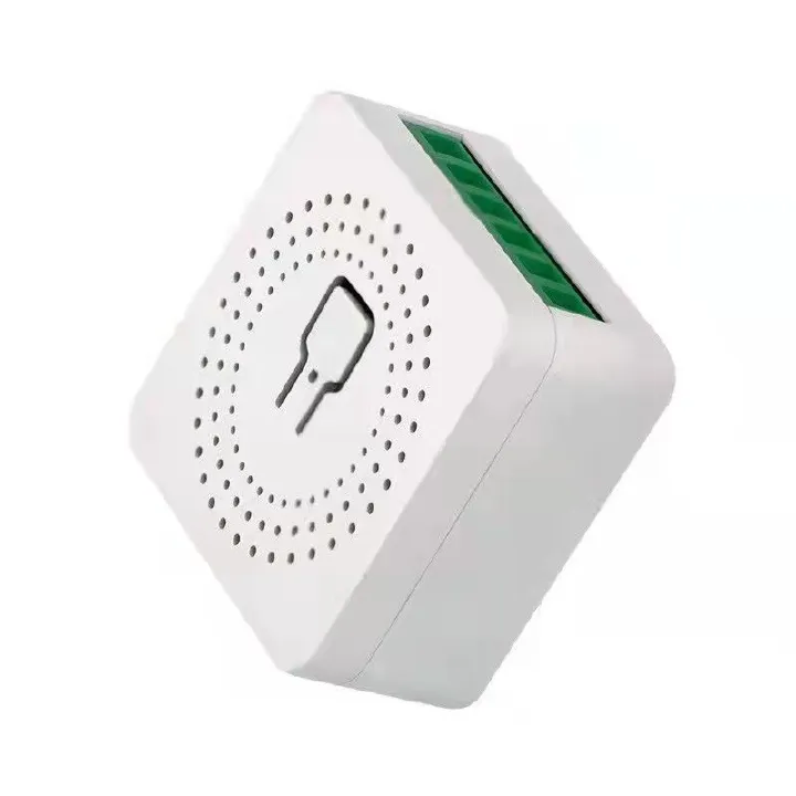 10A Wifi Mini Smart Switch DIY Light Switches 2 Way Wireless Control Smart Home with Tuya Smart Life