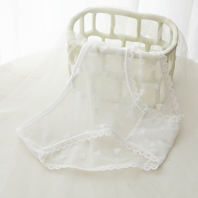 6pcs Lace Panties for Women Sexy Transparent Underwear Female Bow Briefs Breathable Intimates Mid Waist Underpants
