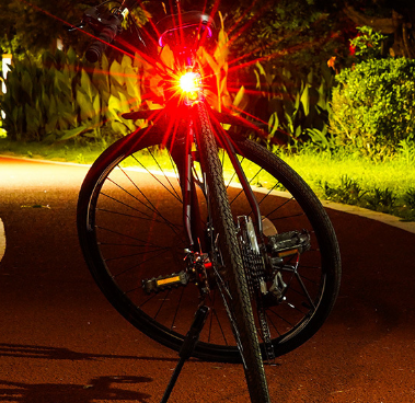 Alloy Battery Powered Bicycle Lamp 0.66W 200lm Cycling Taillight Bike Rear Light Aluminum