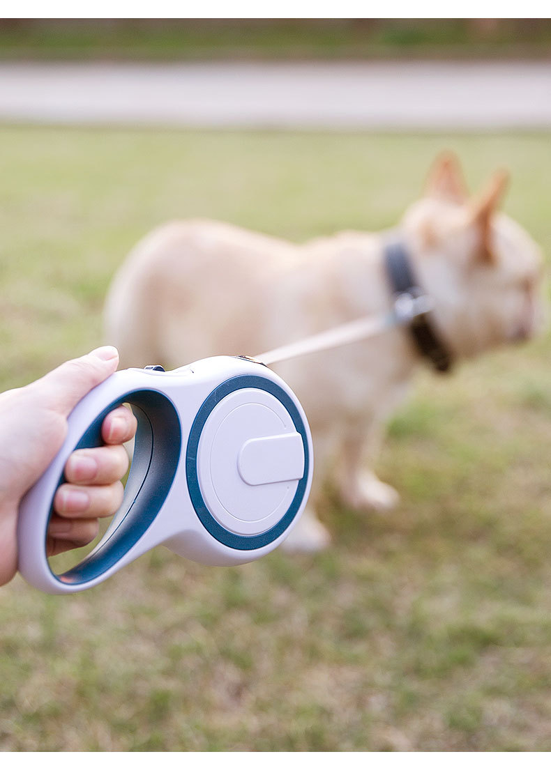 Retractable Pet Dog Leashes 3m Durable Automatic Extending Traction Rope For Small Medium Dogs Pet Walking Leash Leads