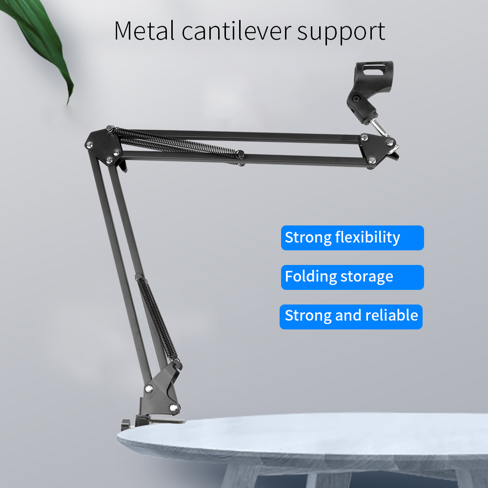 BM800 Studio Condenser Microphone Mic Professional Live Broadcast Suit With V8 Sound Card For Live Streaming Singing Recording