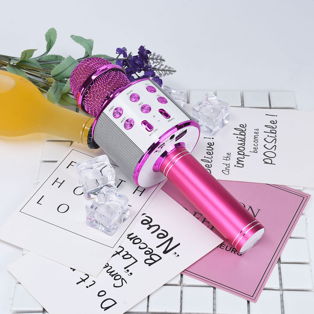 WS858 Portable Bluetooth Karaoke dj Microphone Wireless Professional Speaker Home KTV Handheld Microphone mikrofon