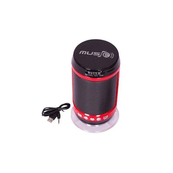 Wster Bluetooth Speaker Radio,USB,card and AUX mode