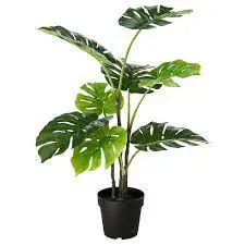 MONSTERA HOME DECOR ARTIFICIAL BESTSELLER!! 80 CM  MONSTERA PLANT /ARTIFICIAL HOME DECOR  80 CM MONSTERA PLANT /ARTIFICIAL 8 MONSTERA OUTDOORS/INDOORS /ARTIFICIAL 80CM