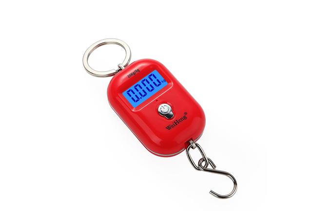 25kg/5g Mini Hook Scale Digital Suitcase Scales Hanging weighing Travel Weighting Steelyard Electronic Weight Tool