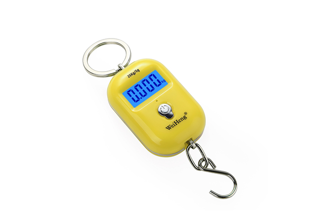 25kg/5g Mini Hook Scale Digital Suitcase Scales Hanging weighing Travel Weighting Steelyard Electronic Weight Tool