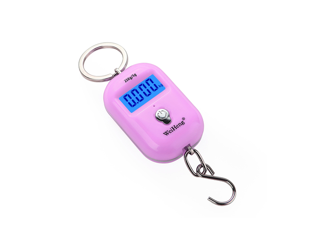 25kg/5g Mini Hook Scale Digital Suitcase Scales Hanging weighing Travel Weighting Steelyard Electronic Weight Tool