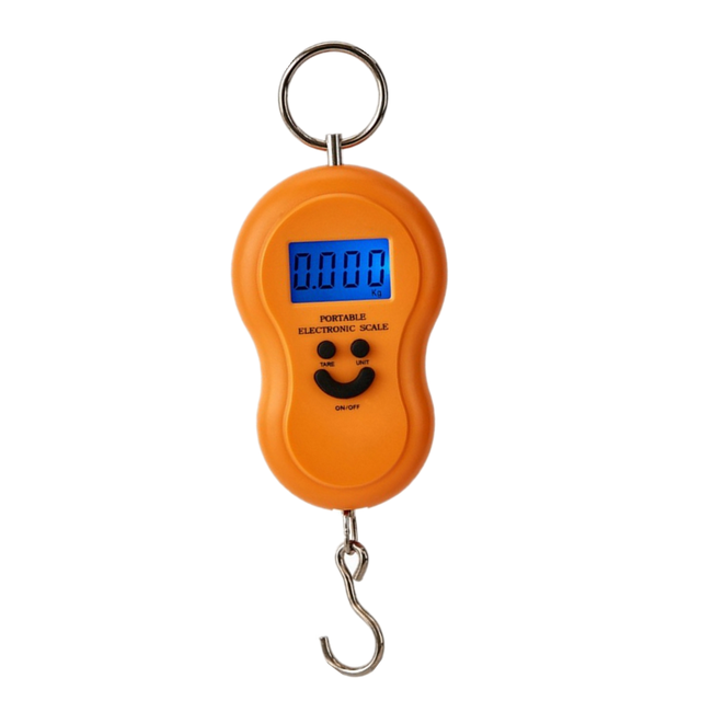 50kg 10g Hanging Scale Digital Scale BackLight Electronic Fishing Weights Pocket Scale Luggage Scales