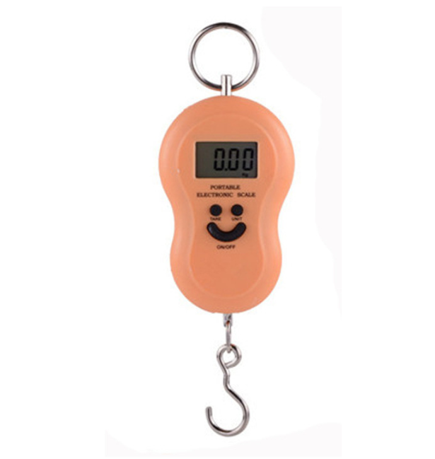 50kg 10g Hanging Scale Digital Scale BackLight Electronic Fishing Weights Pocket Scale Luggage Scales