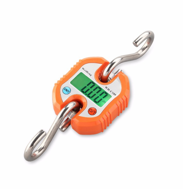 WH-C100 Mini Heavy Duty Electronic Digital Hook Scale Double Accuracy Stainless Steel 150kg LCD Hanging Crane Scale