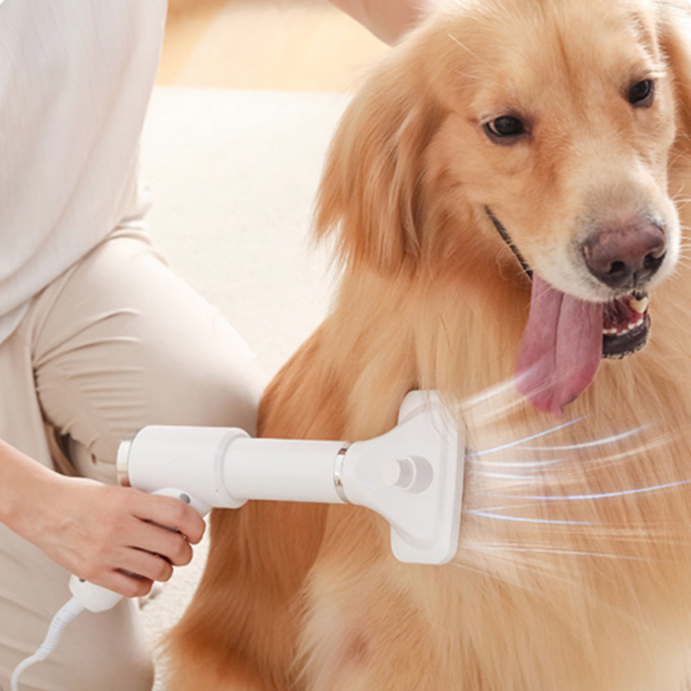 Pet Dog Hair Dryer Pet Grooming Cat Hair Comb Brush Low Noise Fur Blower Portable Rapidly Dry Dog Grooming Supplies Safe Durable