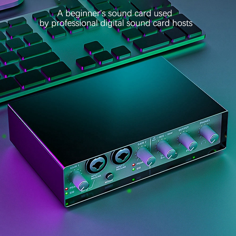 Sound Card Professional Dual 48V Microphones With A Resolution Of 24 Bits / 192Khz Sound Card For Pc Live Recording