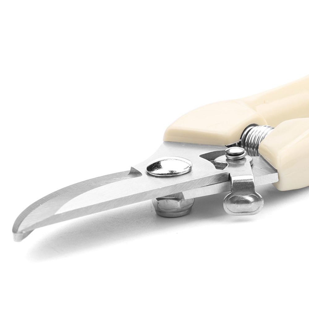 Pruner Orchard and The Garden Hand Tools