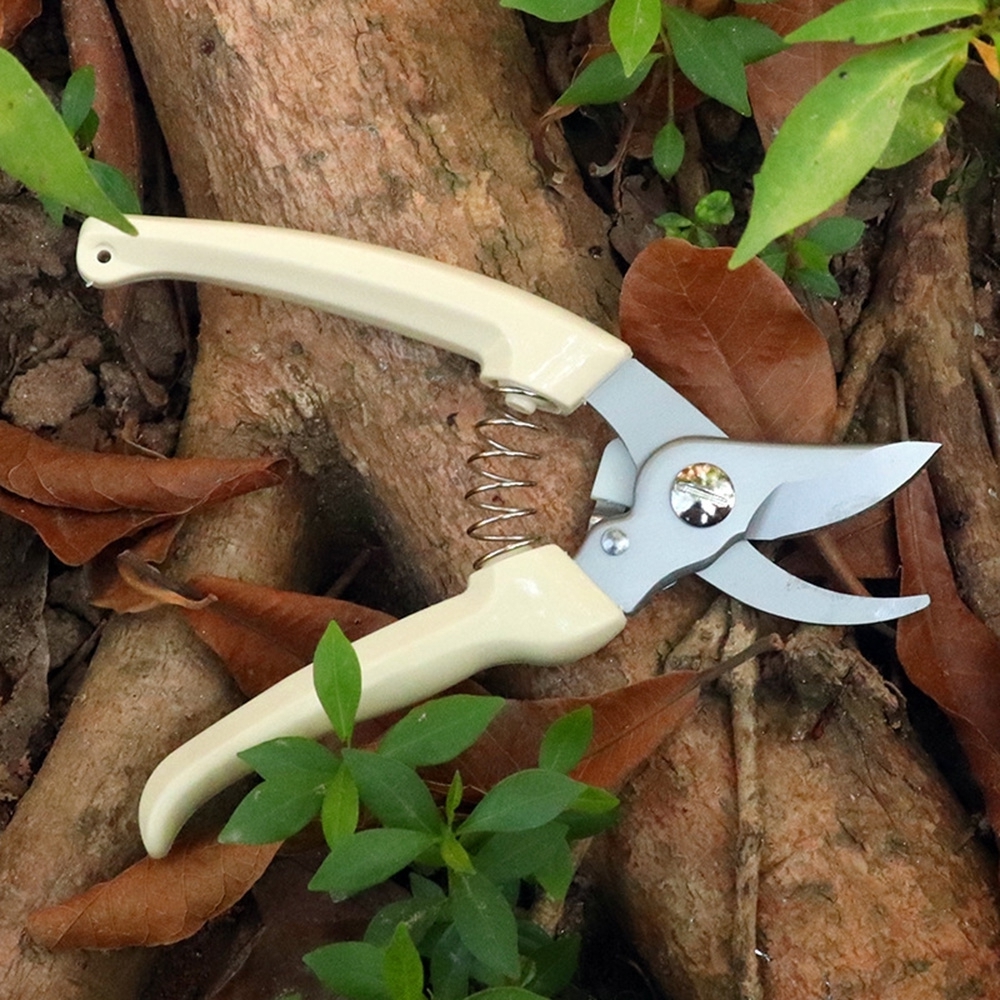 Pruner Orchard and The Garden Hand Tools