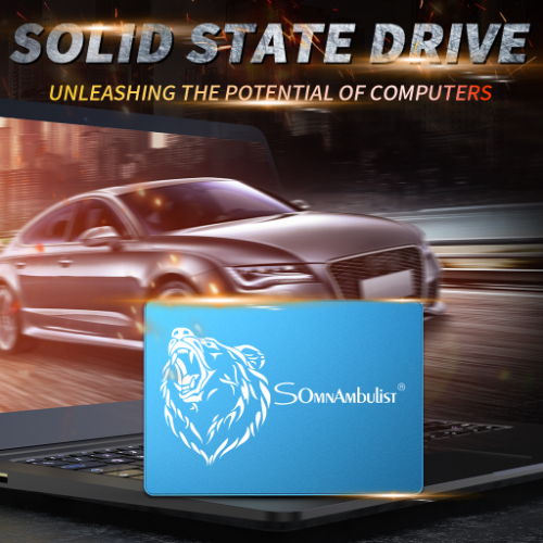 Solid State Drive 120GB 240GB 480GB SSD 2TB Laptop Desktop Hard Drive 1TB