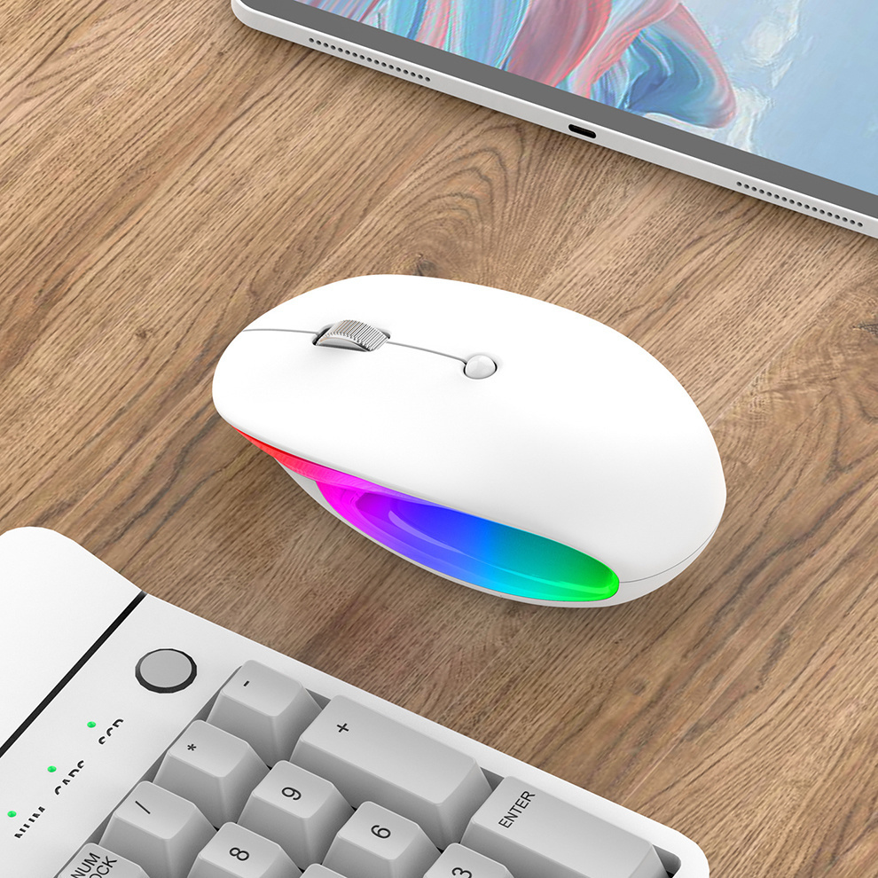 2.4g Bluetooth Wireless Mouse Rechargeable Mouse Ergonomic RGB Gaming Mouse