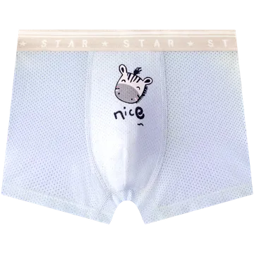 Cloudoon Men's Moisture Wicking Underwear Breathable Underpanties