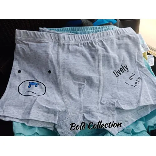 CLEARANCE OFFER Fashion 6PCs Kids Long Lasting Brief Cotton Boys Boxers