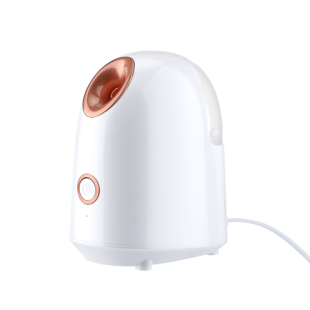 Hot Face Steamer Facial hydration Humidifier Steaming Skin Moisturizing Water Replenishing Instrument Nano Mist Spray Face Care