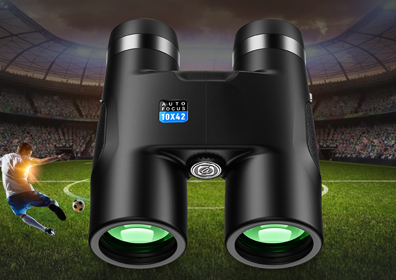 10x42 HD Professional Binoculars Long Range Powerful Telescope Auto Focus Roof BAK4 Prism Telescope For Hunting Tourism