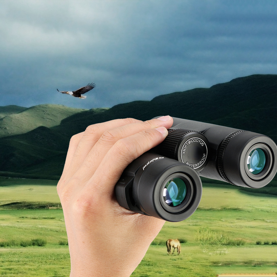 Powerful  Binoculars 10x42 Professional  Telescope BAK4 FMC camping equipment for Birdwatching Survival