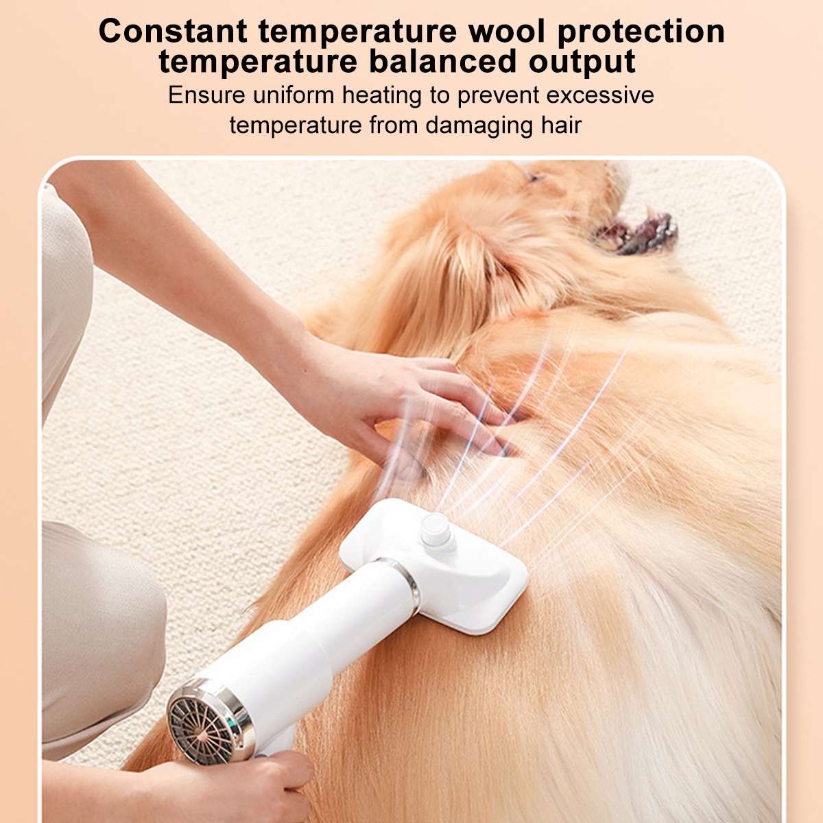 2 in 1  Pet Hair Dryer Portable Dog Hair Dryer Home Pet Grooming Cat Hair Comb Dog Fur Blower Adjustable Temperature Pet Brush