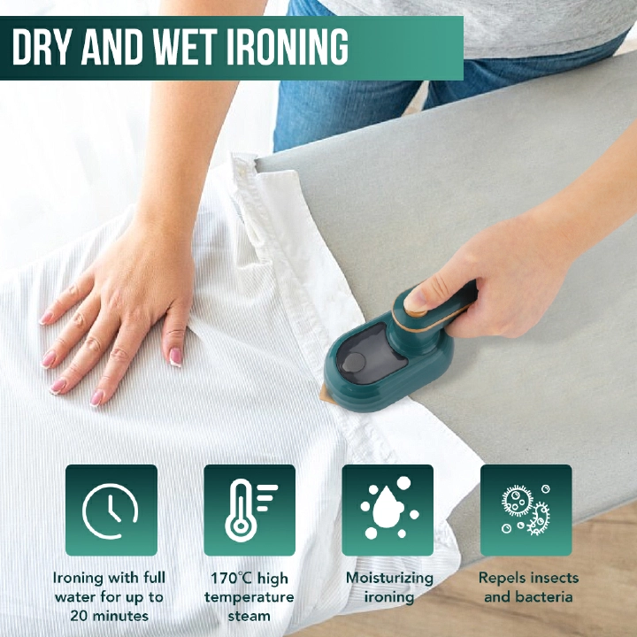 Professional Handheld Garment Ironing Machine Hot Steam Household Wet And Dry Double Small Electric Iron Travel Ironing Machine