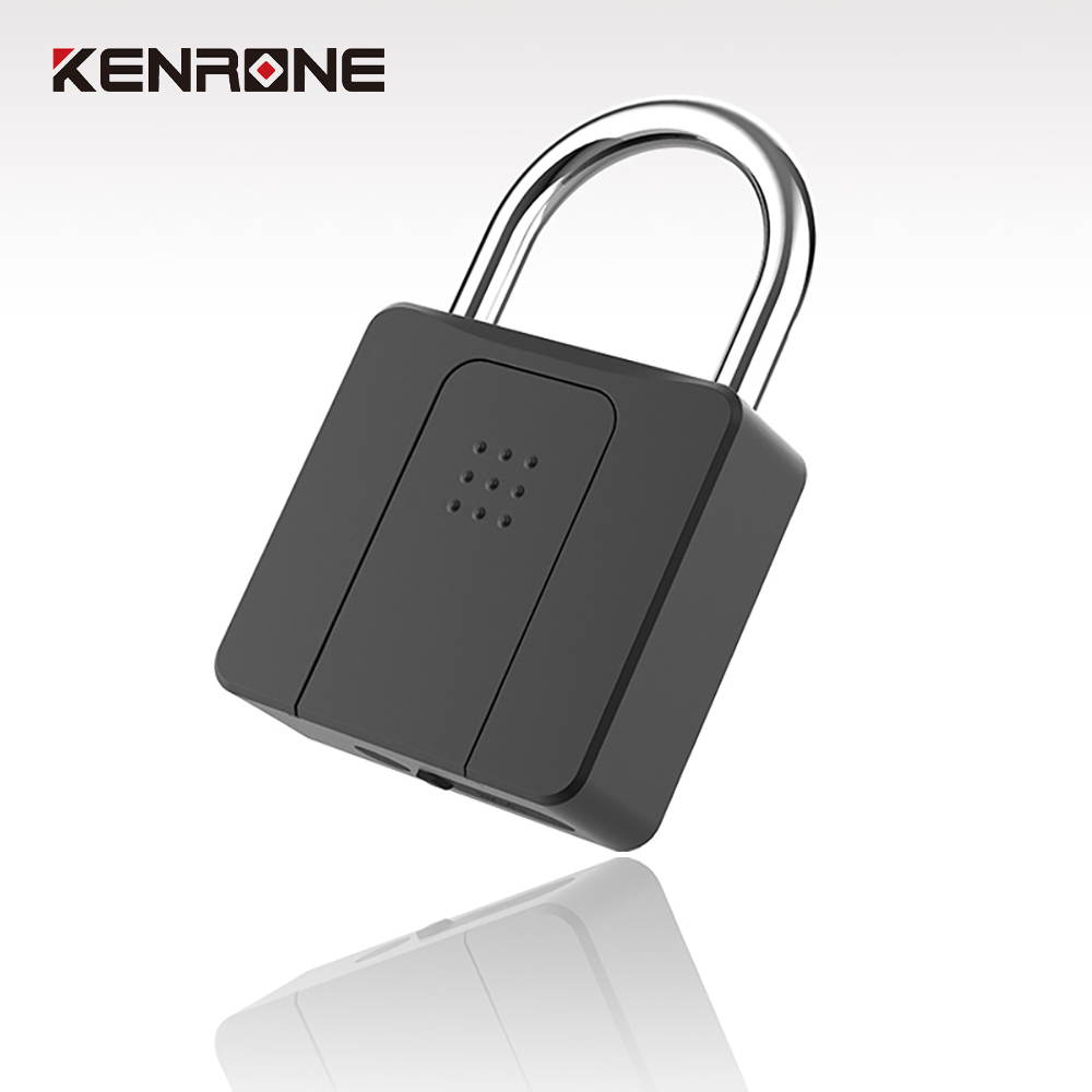 Smart Fingerprint Padlock Anti-Rust Waterproof Biometric Drawer Cabinet Gate Door Lock With Key