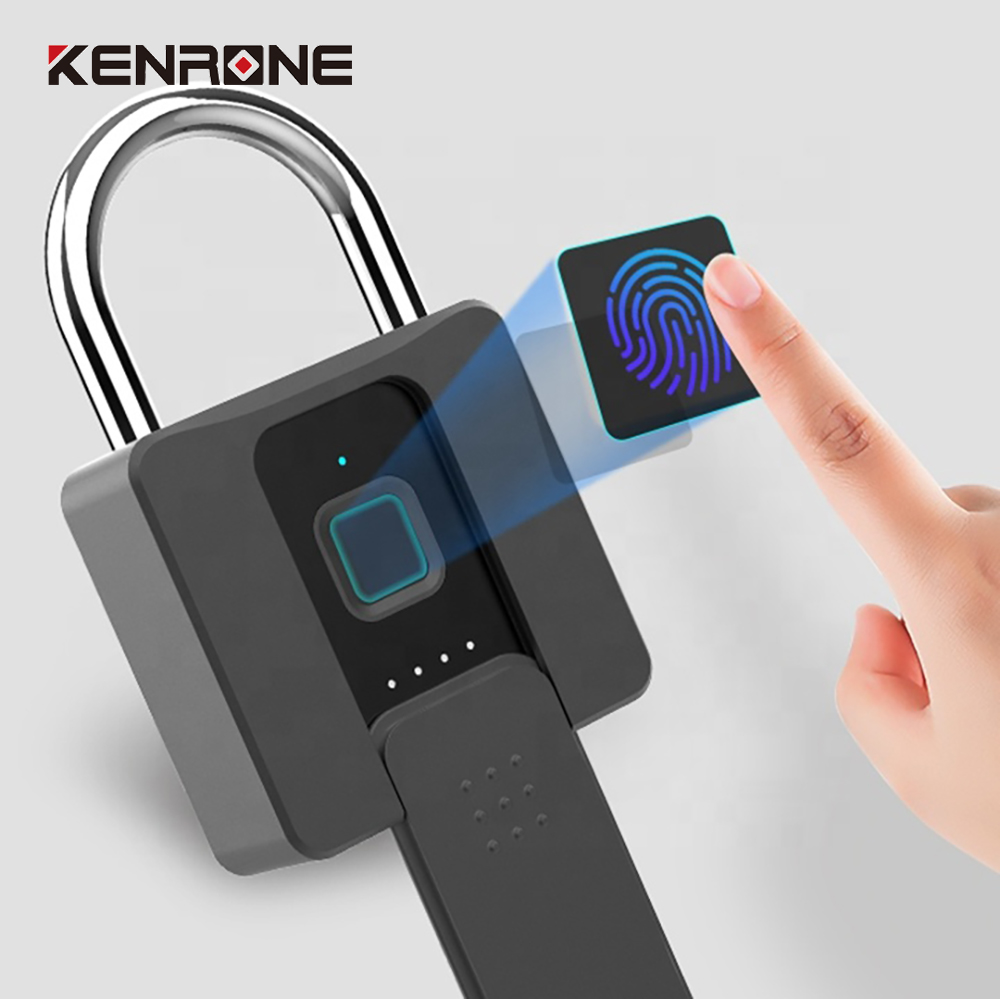 Smart Fingerprint Padlock Anti-Rust Waterproof Biometric Drawer Cabinet Gate Door Lock With Key