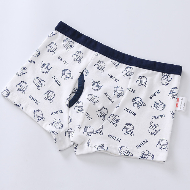 2Pcs Children Boys Underwear Cartoon Children's Shorts Panties Baby Boy Toddler Boxers Stripes Teenagers Cotton Underpants