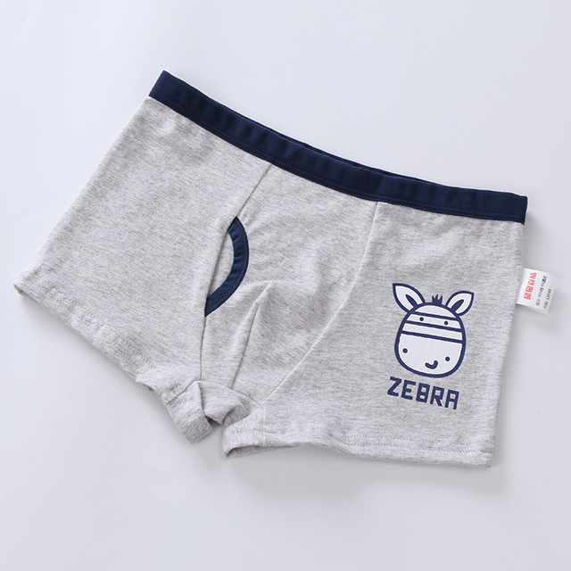 2Pcs Children Boys Underwear Cartoon Children's Shorts Panties Baby Boy Toddler Boxers Stripes Teenagers Cotton Underpants