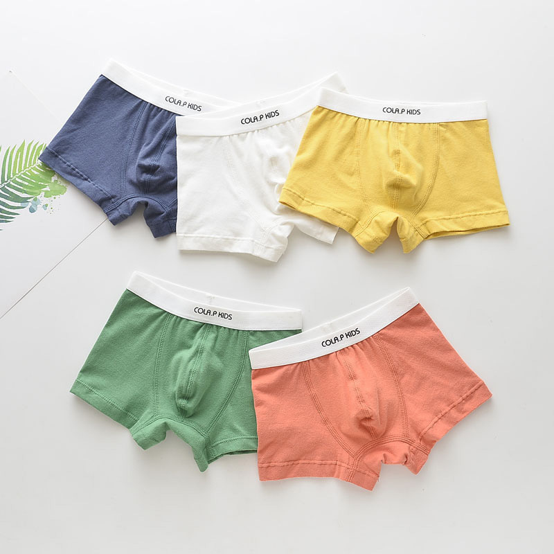 5Pcs Children Underwear Boys Panties Cotton Boxers Children Underpants Briefs For Boy Shorts Baby Panties Kids Underwear Clothing