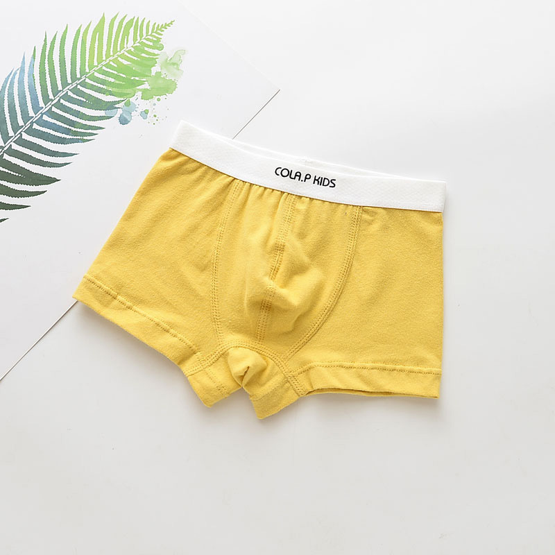 5Pcs Children Underwear Boys Panties Cotton Boxers Children Underpants Briefs For Boy Shorts Baby Panties Kids Underwear Clothing