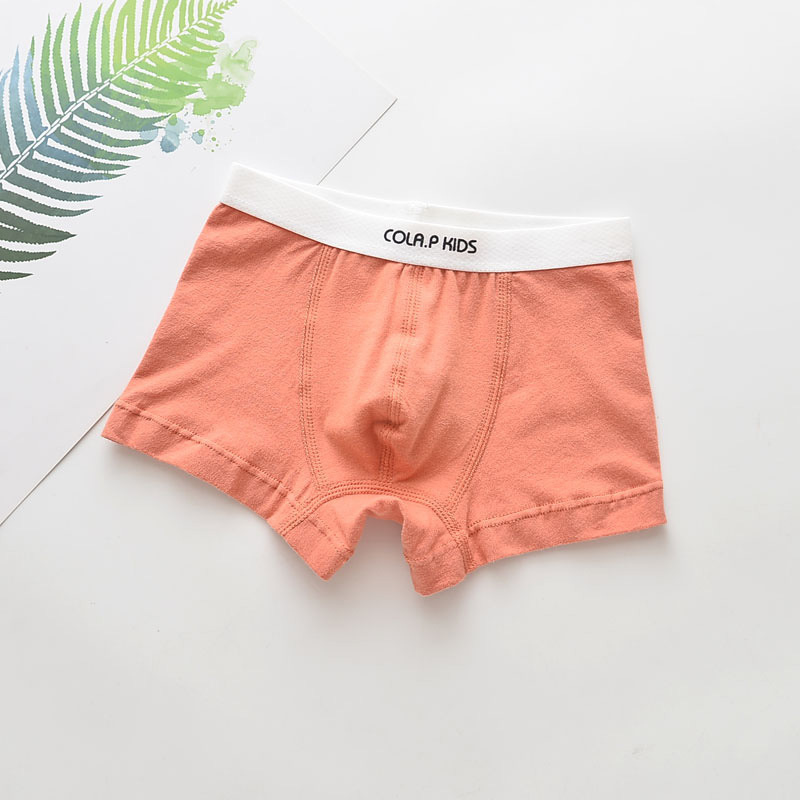 5Pcs Children Underwear Boys Panties Cotton Boxers Children Underpants Briefs For Boy Shorts Baby Panties Kids Underwear Clothing