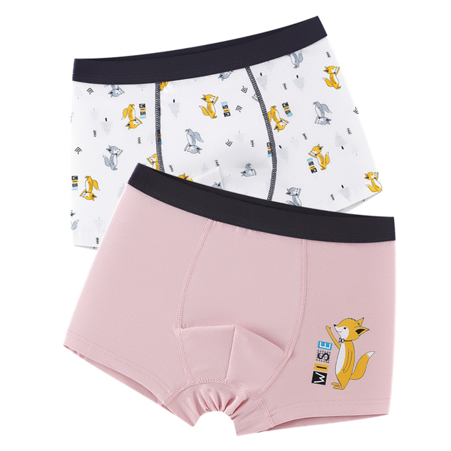 2pcs Fox Cotton Boy Underwear Boxer Kids Cartoon Panties Shool Kids Shorts Bottoms