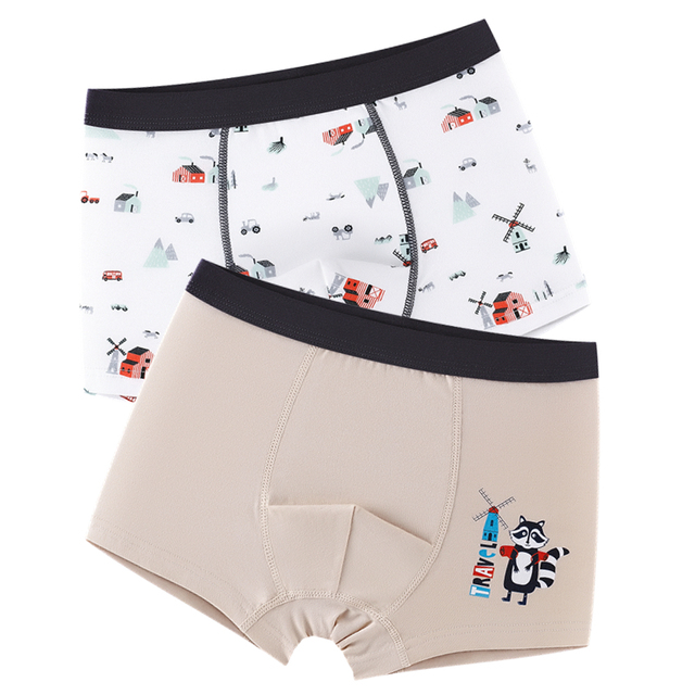 2pcs Fox Cotton Boy Underwear Boxer Kids Cartoon Panties Shool Kids Shorts Bottoms
