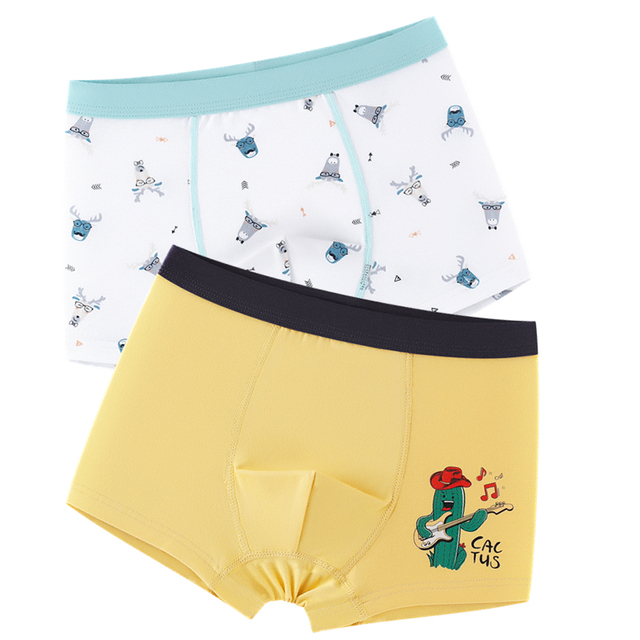 2pcs Fox Cotton Boy Underwear Boxer Kids Cartoon Panties Shool Kids Shorts Bottoms
