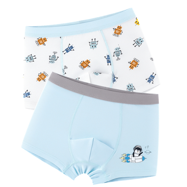 2pcs Fox Cotton Boy Underwear Boxer Kids Cartoon Panties Shool Kids Shorts Bottoms