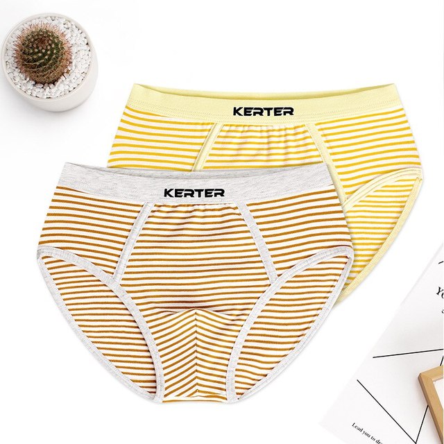 2Pcs Stretchy Striped Boys Underwear Brifes Cotton Boys Clothes Comfortable Kids Panties for 3 4 6 8 10 12 Years Old
